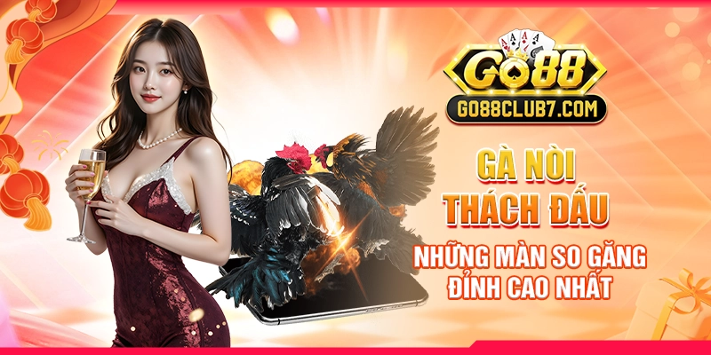 Gà Nòi Thách Đấu: Những Màn So Găng Đỉnh Cao Nhất